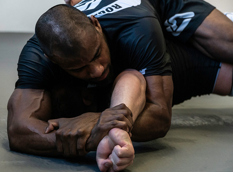 luis-roger-gracie-roma-kimura