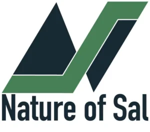 NoS_logo_text_white_bg